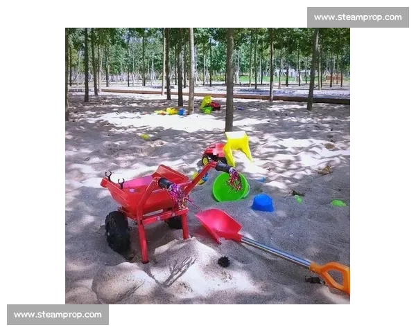 沙地运动体验与训练方法探索提升竞技与休闲价值